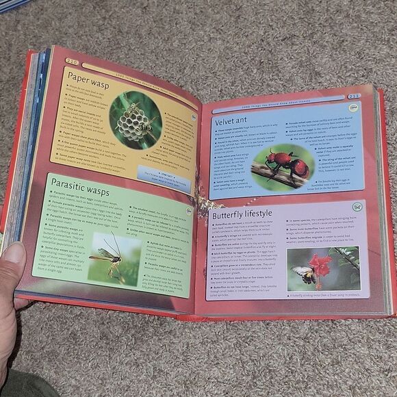 8000 Awesome Things You Should Know Book • Educational Learning - Picture 5 of 9